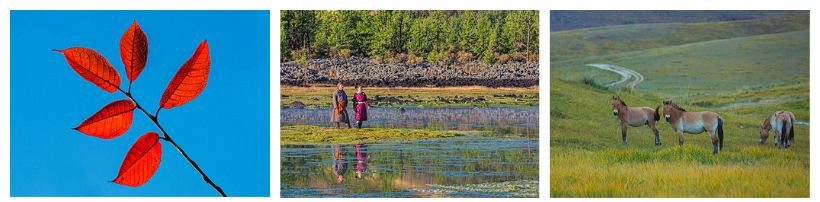 best time to mongolia 